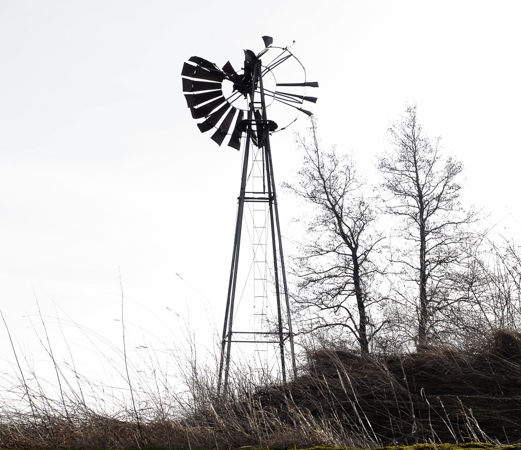 vår-i-februari-(6)ps