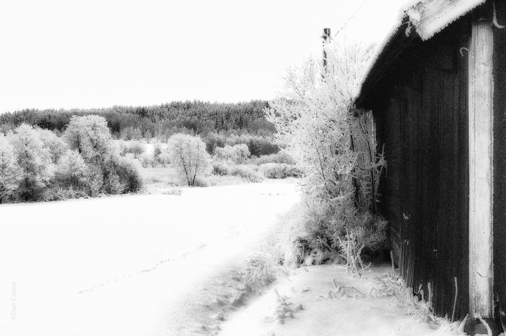 Vinter-2