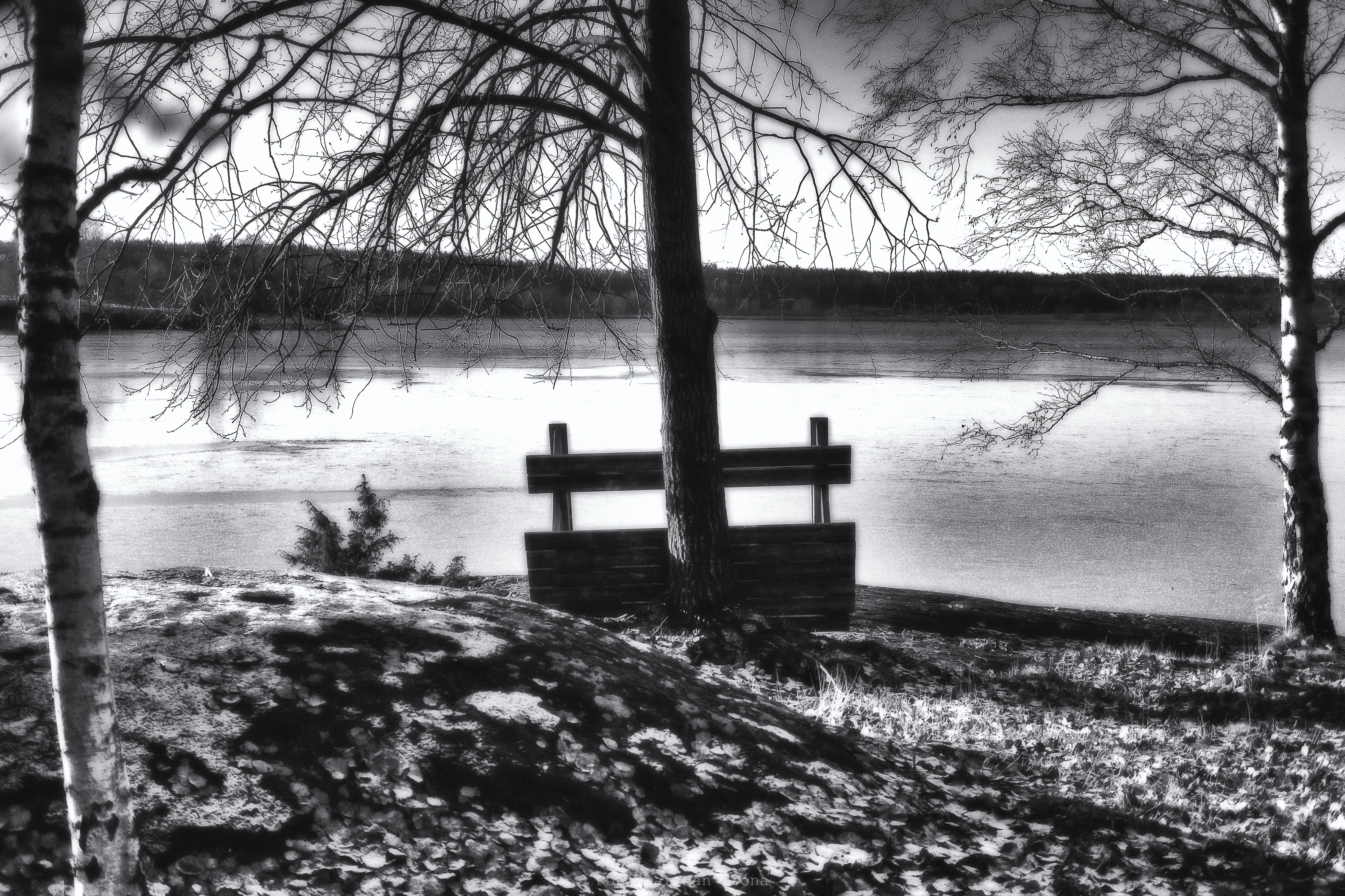 Utsikt över avlasjön